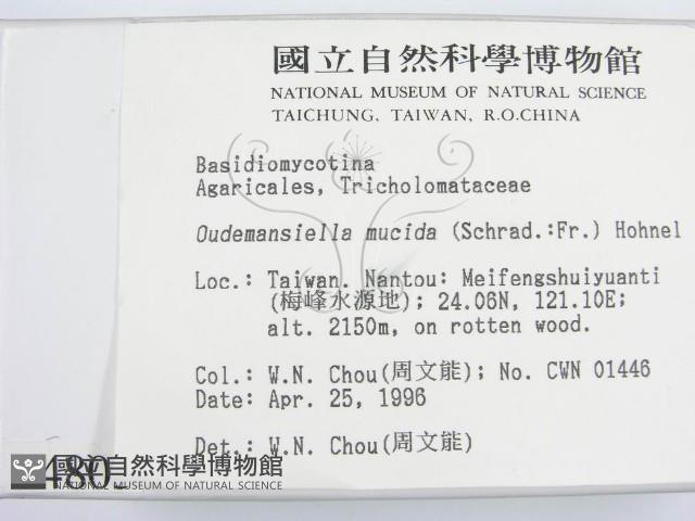 登錄號:F0004803藏品圖，第2張