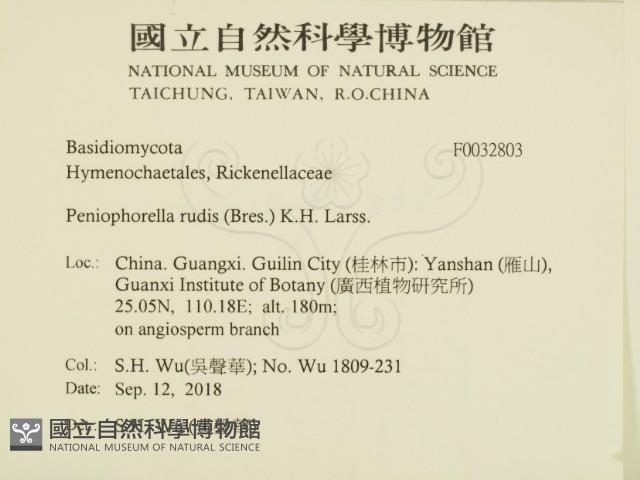 登錄號:F0032803藏品圖，第2張