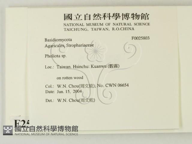 登錄號:F0025803藏品圖，第2張