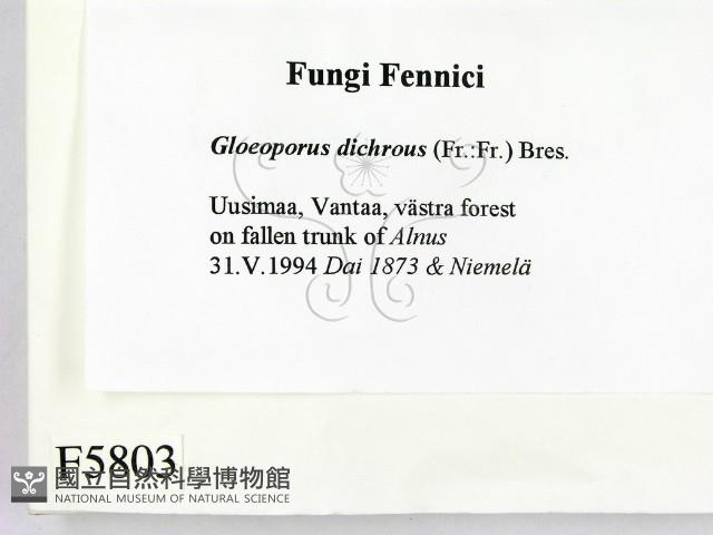 登錄號:F0005803藏品圖，第2張