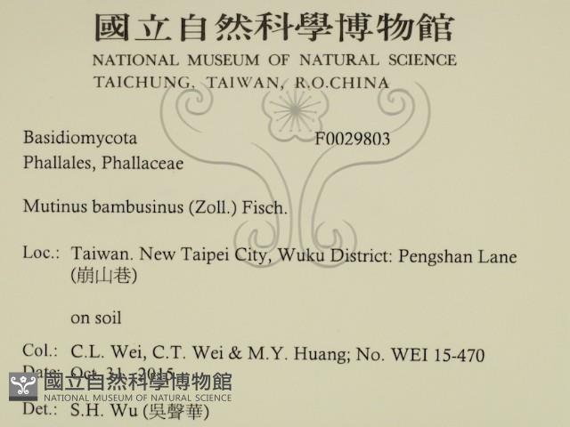 登錄號:F0029803藏品圖，第2張