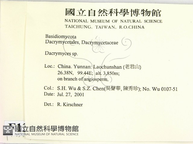 花耳屬藏品圖，第2張