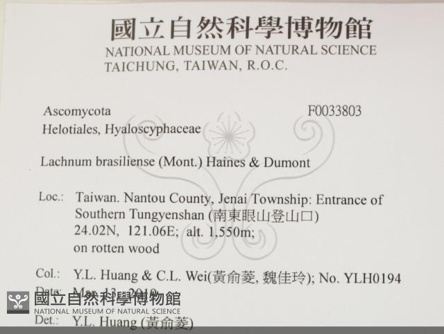 登錄號:F0033803藏品圖，第2張