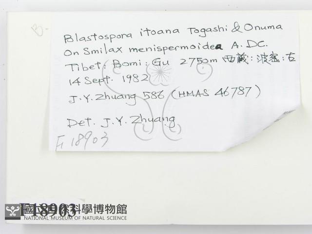 登錄號:F0018903藏品圖，第2張