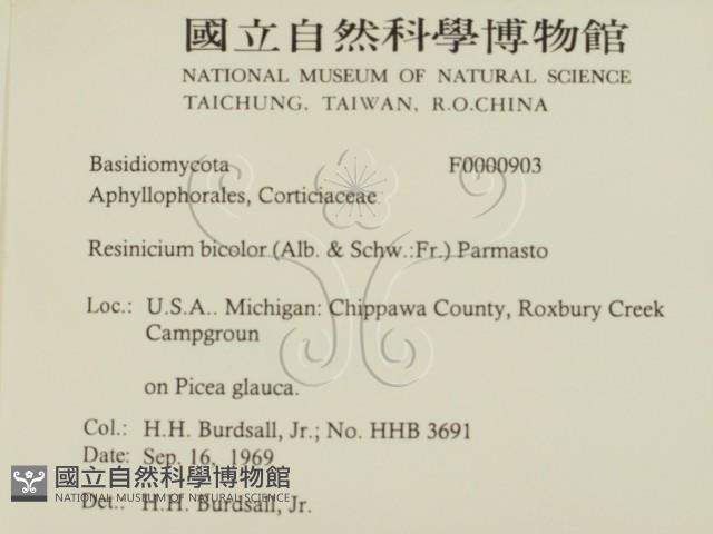 登錄號:F0000903藏品圖，第2張