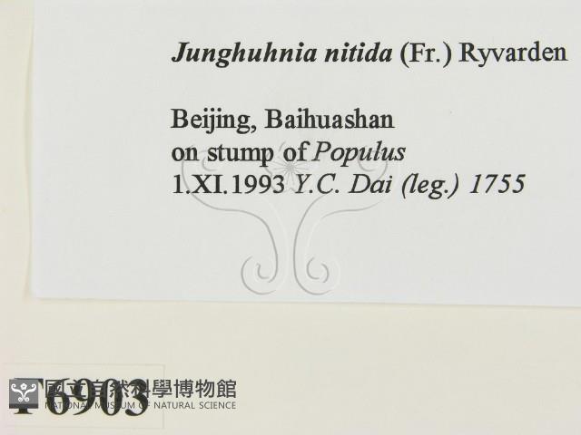 登錄號:F0006903藏品圖，第2張