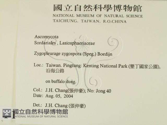 登錄號:F0016903藏品圖，第2張