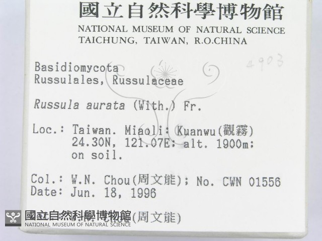 登錄號:F0004903藏品圖，第2張