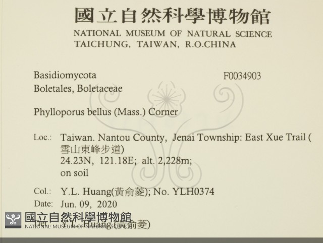 登錄號:F0034903藏品圖，第2張