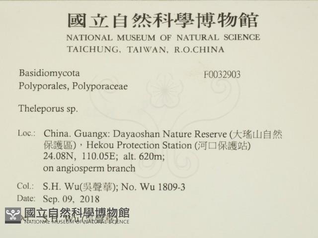 登錄號:F0032903藏品圖，第2張