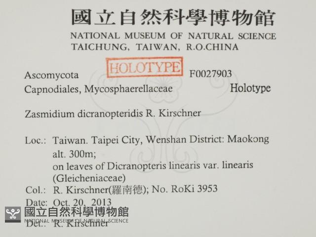 登錄號:F0027903藏品圖，第2張