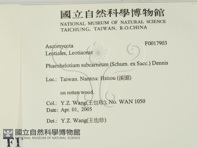 登錄號:F0017903藏品圖，第2張