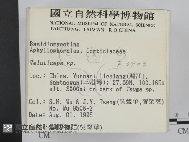 登錄號:F0003903藏品圖，第2張