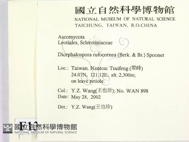 登錄號:F0013903藏品圖，第2張