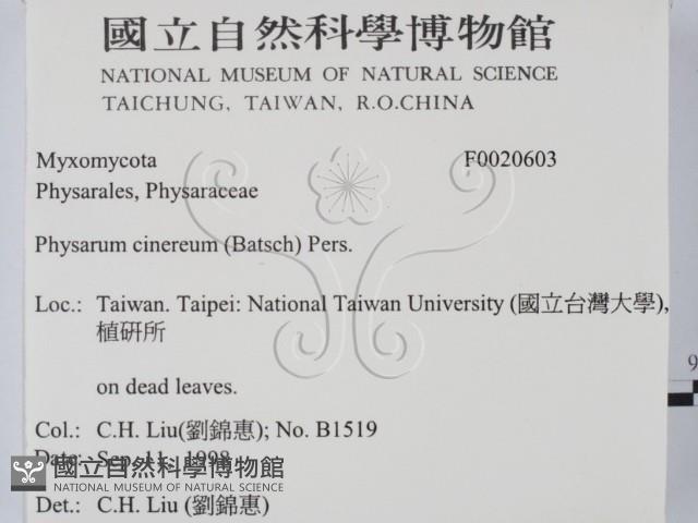 登錄號:F0020603藏品圖，第2張