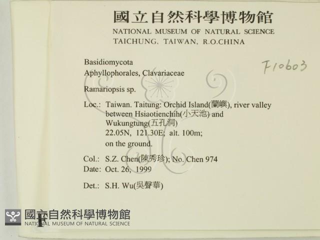 登錄號:F0010603藏品圖，第2張