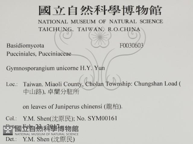 登錄號:F0030603藏品圖，第2張