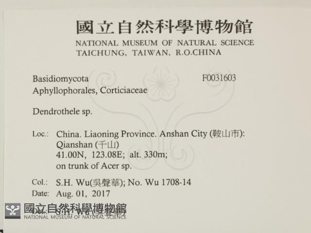 登錄號:F0031603藏品圖，第2張
