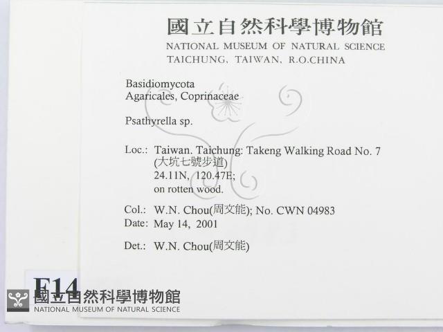 登錄號:F0014603藏品圖，第2張