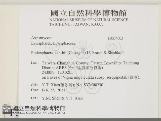 登錄號:F0034603藏品圖，第2張