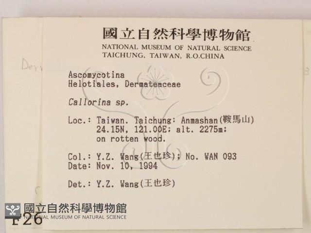 登錄號:F0002603藏品圖，第2張