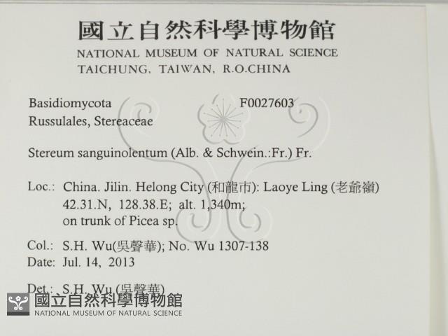 登錄號:F0027603藏品圖，第2張