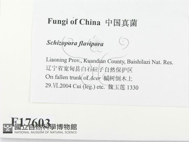 登錄號:F0017603藏品圖，第2張