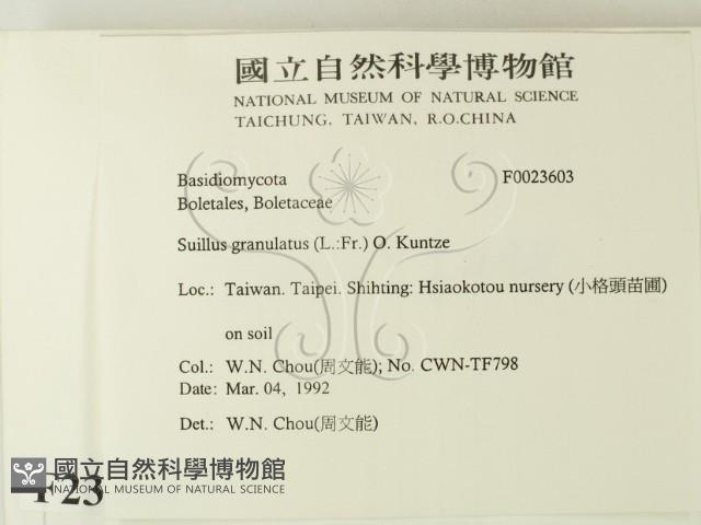 登錄號:F0023603藏品圖，第2張