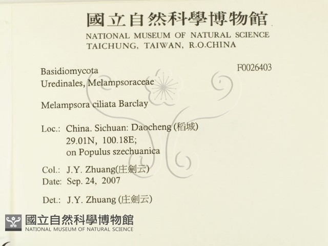 登錄號:F0026403藏品圖，第2張