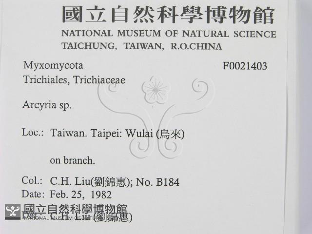 登錄號:F0021403藏品圖，第2張