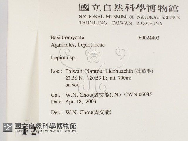登錄號:F0024403藏品圖，第2張