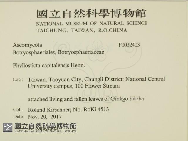 登錄號:F0032403藏品圖，第2張