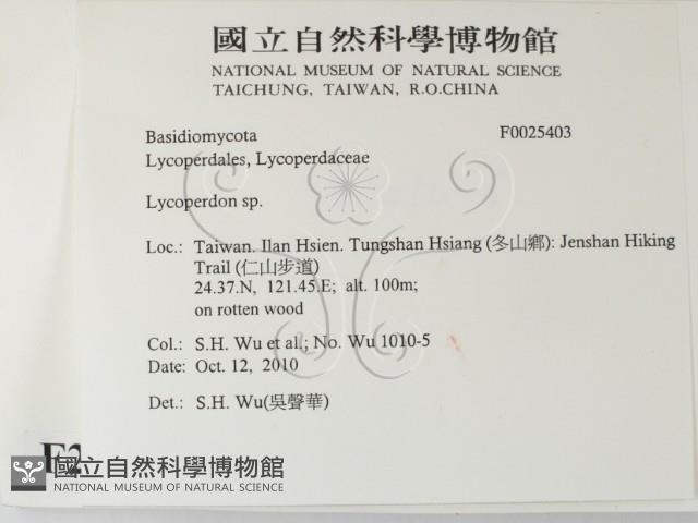 登錄號:F0025403藏品圖，第2張