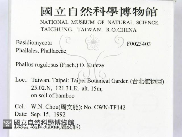登錄號:F0023403藏品圖，第2張