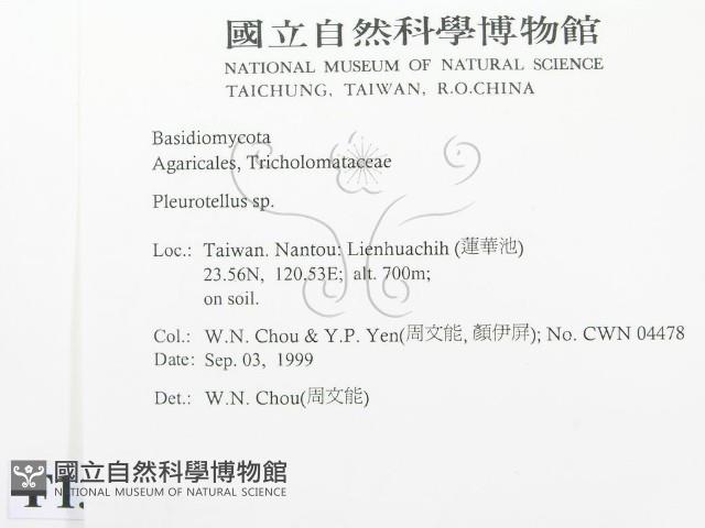 登錄號:F0013403藏品圖，第2張