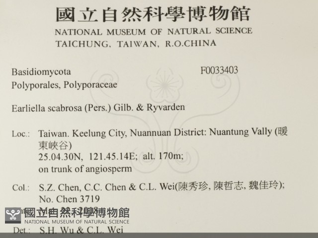 登錄號:F0033403藏品圖，第2張