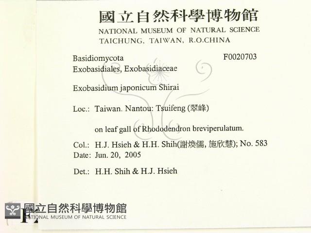 登錄號:F0020703藏品圖，第2張