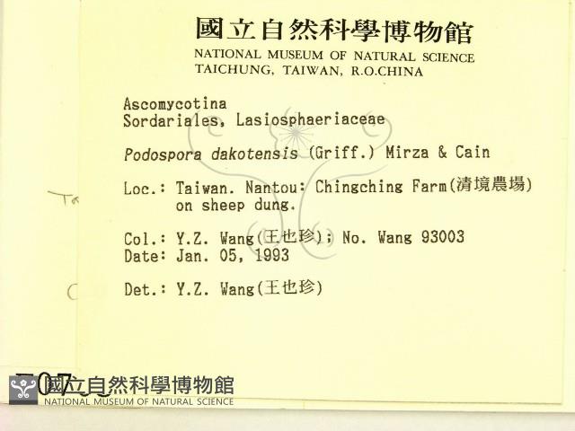 登錄號:F0000703藏品圖，第2張