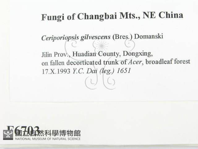 登錄號:F0006703藏品圖，第2張