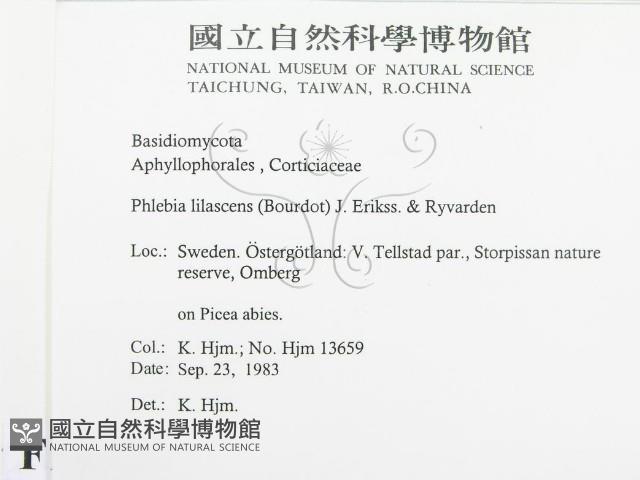 登錄號:F0016703藏品圖，第2張