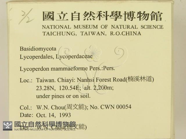 登錄號:F0001703藏品圖，第2張