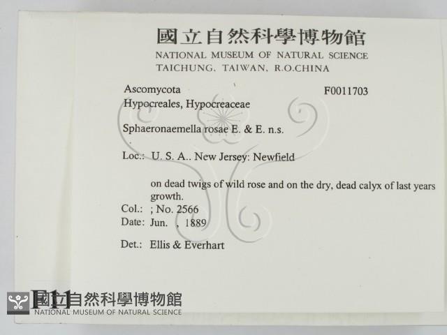 登錄號:F0011703藏品圖，第2張