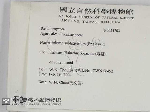 登錄號:F0024703藏品圖，第2張