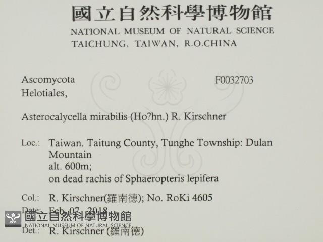 登錄號:F0032703藏品圖，第2張