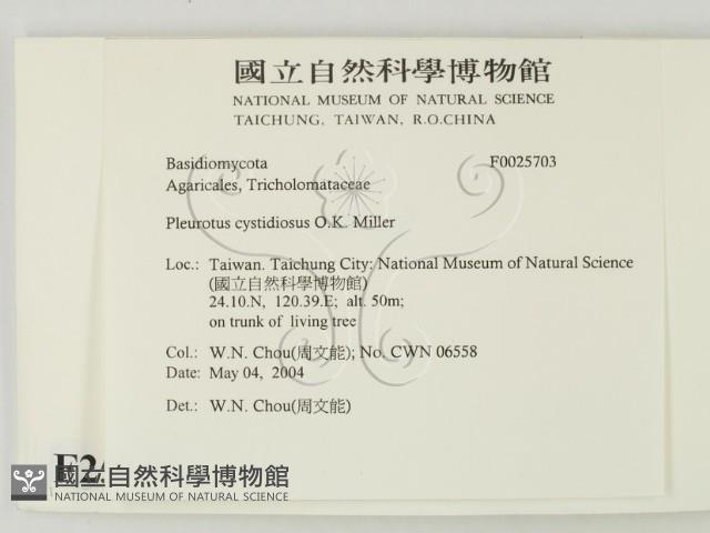 登錄號:F0025703藏品圖，第2張