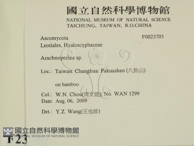 登錄號:F0023703藏品圖，第2張