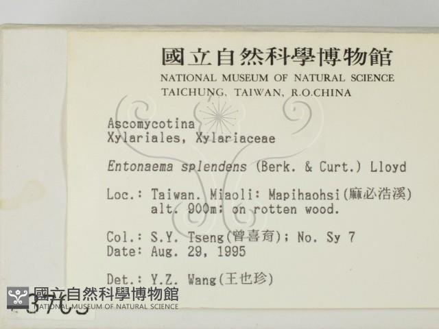 登錄號:F0003703藏品圖，第2張