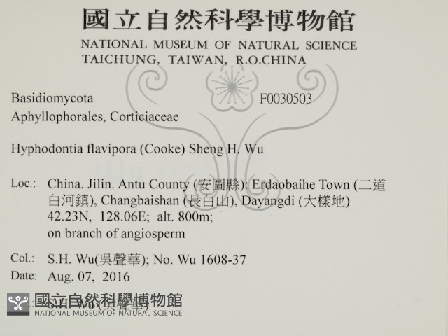 登錄號:F0030503藏品圖，第2張