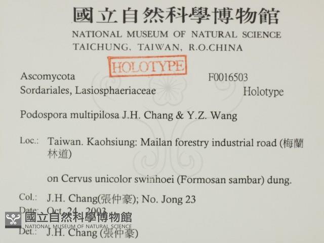 登錄號:F0016503藏品圖，第2張