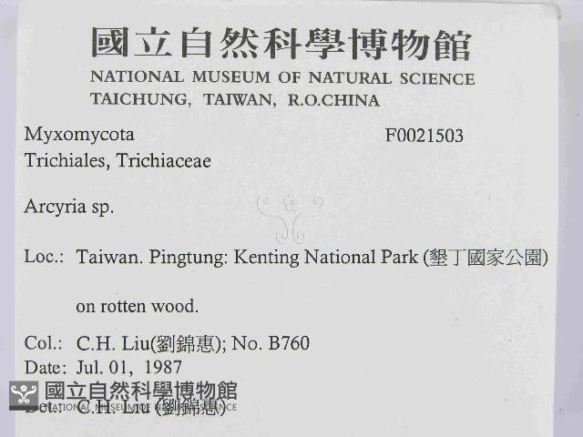 登錄號:F0021503藏品圖，第2張